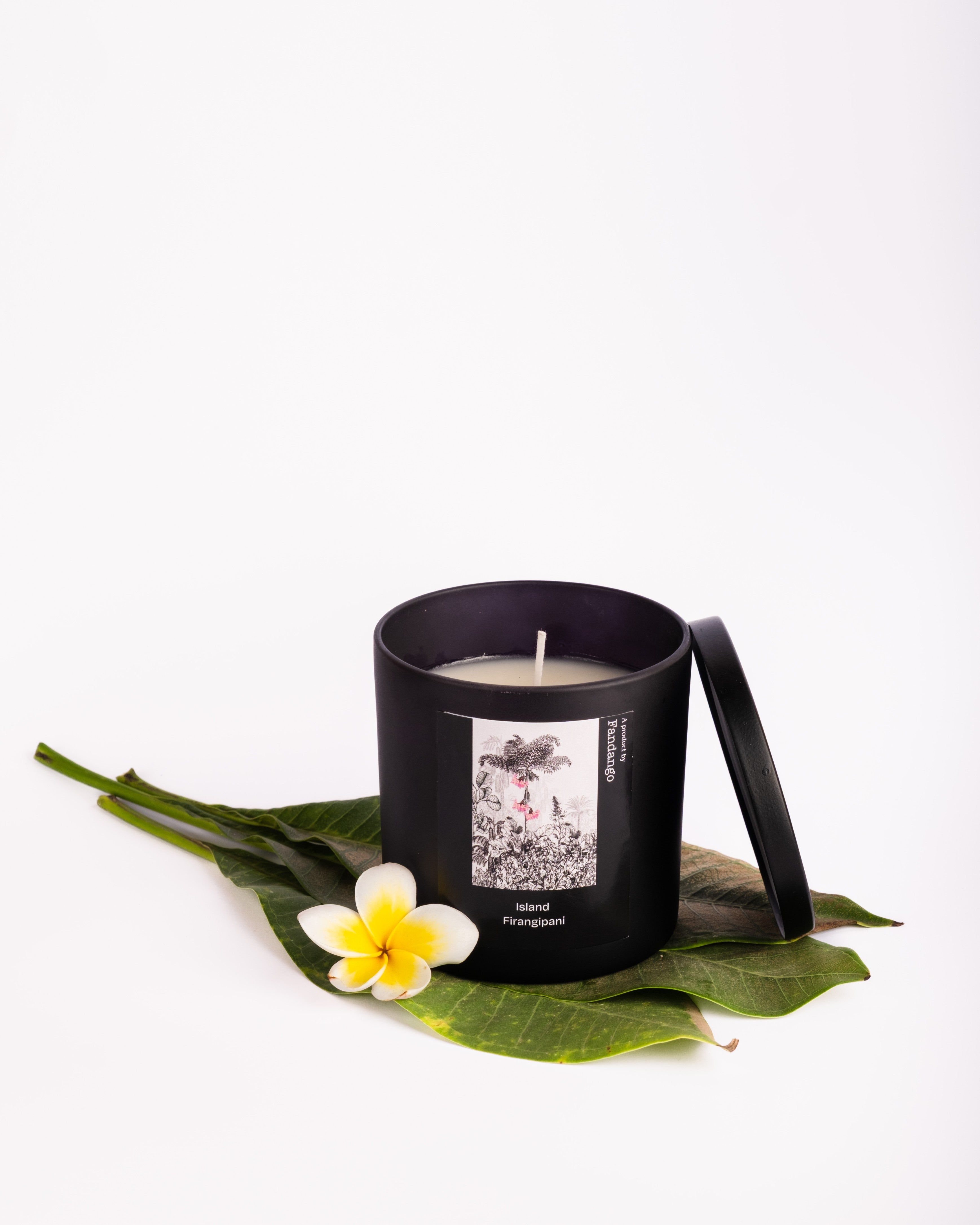 Frangipani Jar Candle