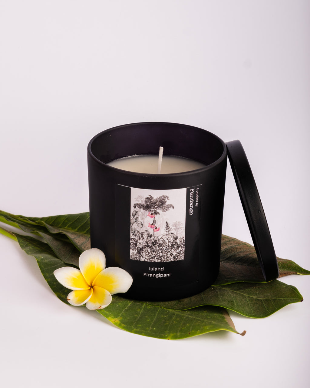 Frangipani Jar Candle