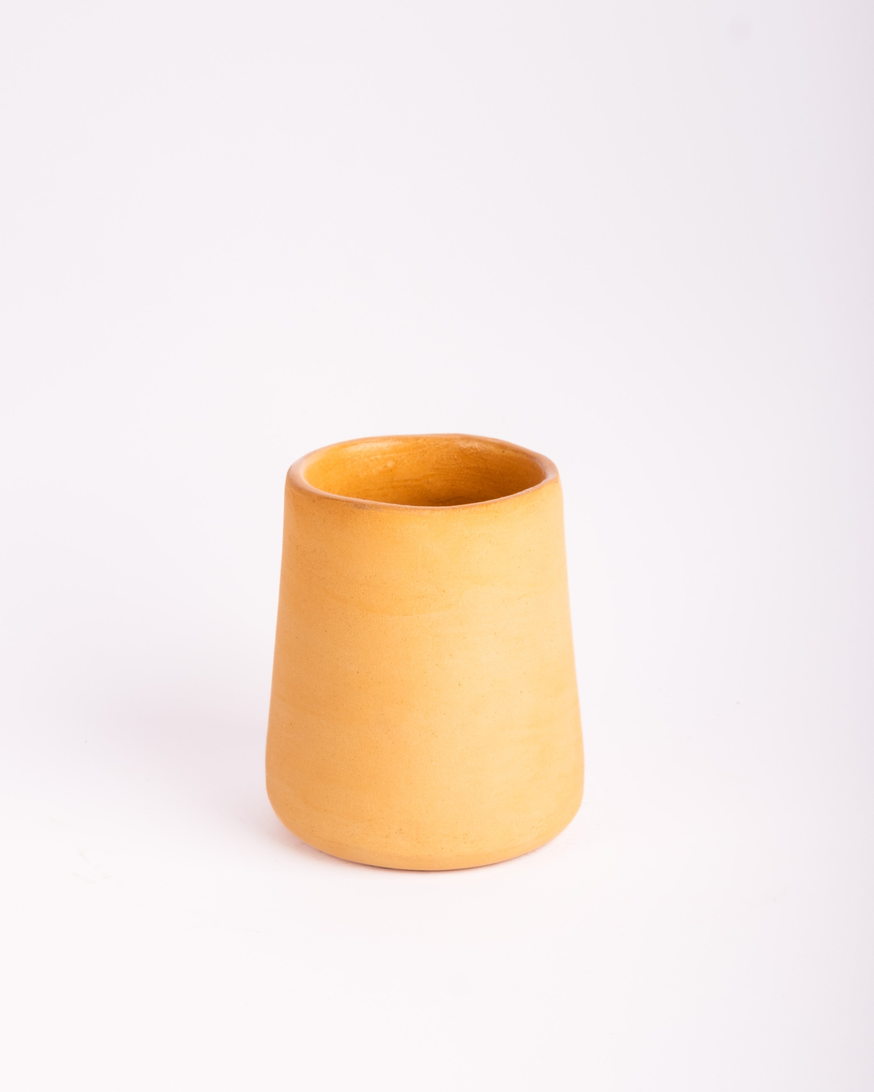 Sundarbans- Studio Coffee Mug